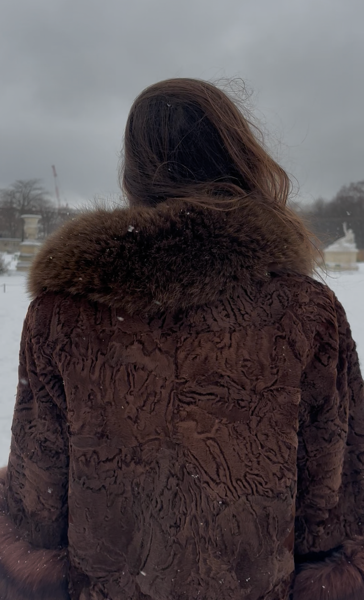 Vintage fox fur coat.